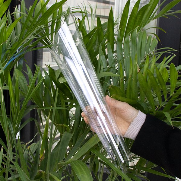 Pet Sheet 2mm Transparent Pet Film Recycled Pet Roll for Vacuum Forming