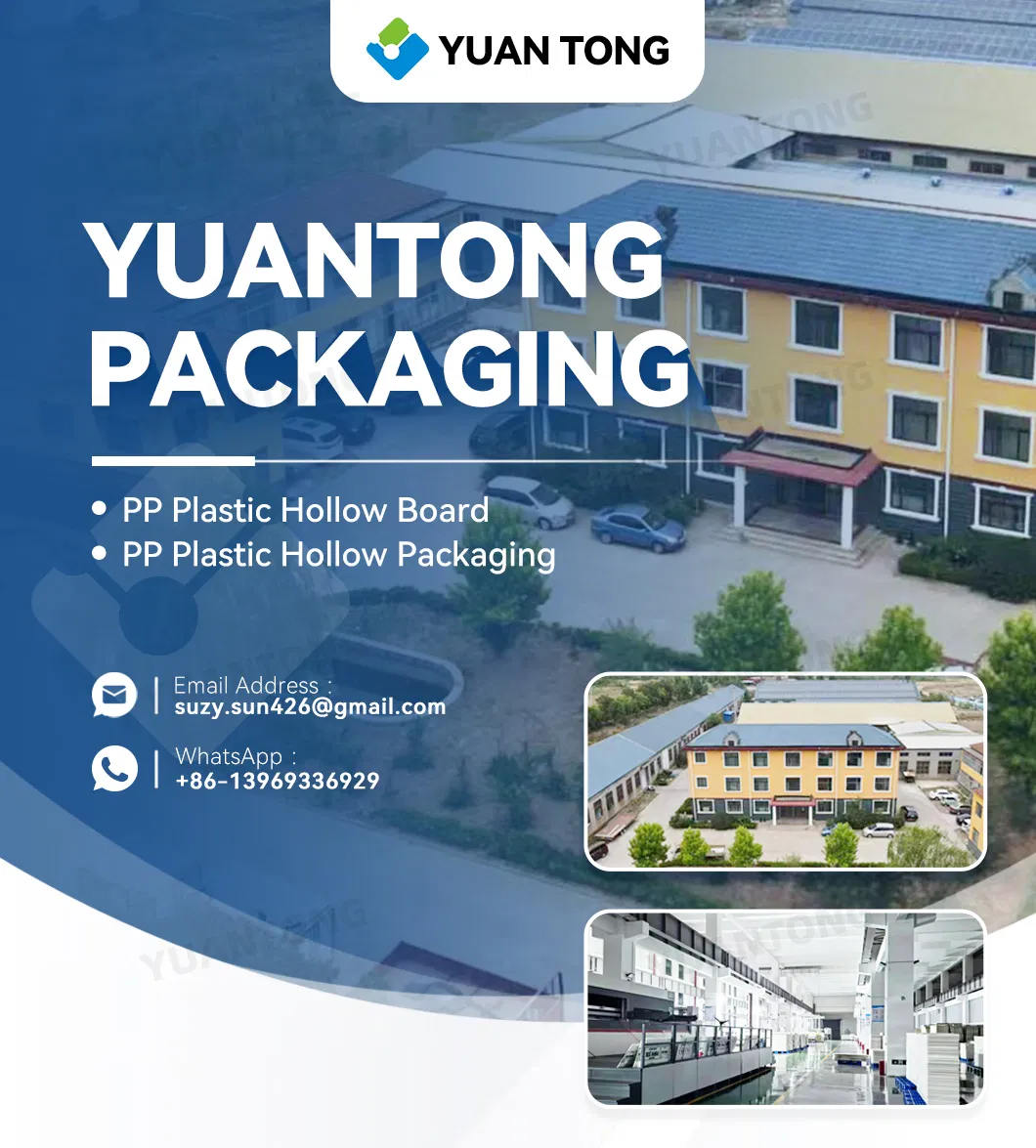 PP Corrugated Box Polypropylene Hollow Sheet