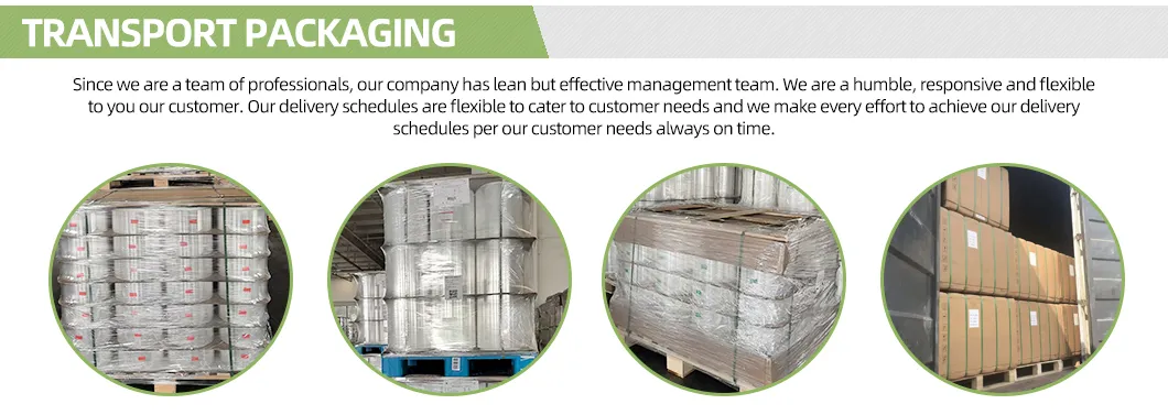 Shipping and Logistics