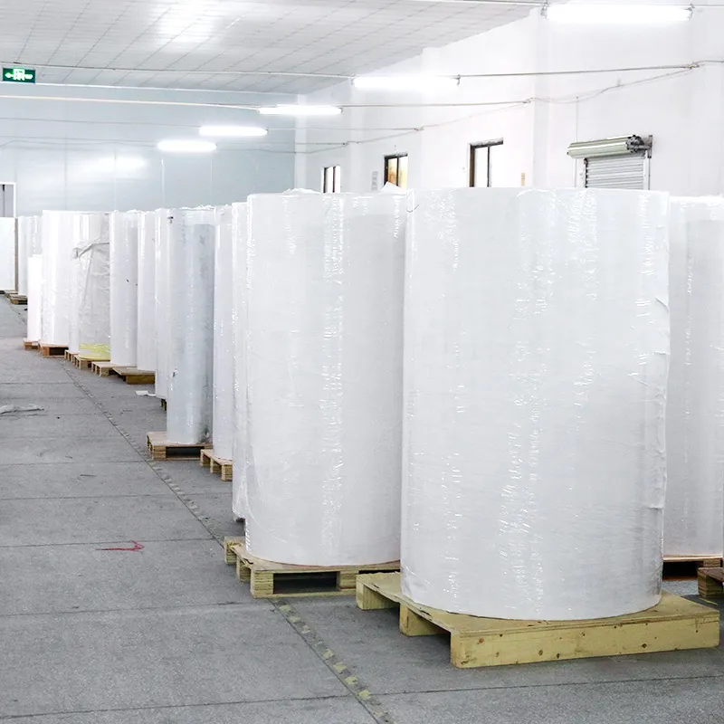 Thermal Paper Roll 2