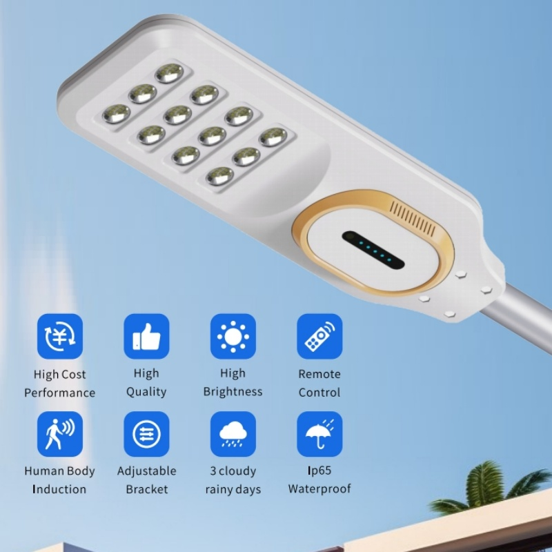 Waterproof IP65 Street Solar Light with Motion Sensor for Outdoor Garden Residential