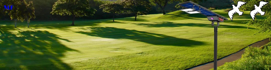 LED Solar Street Light Overview