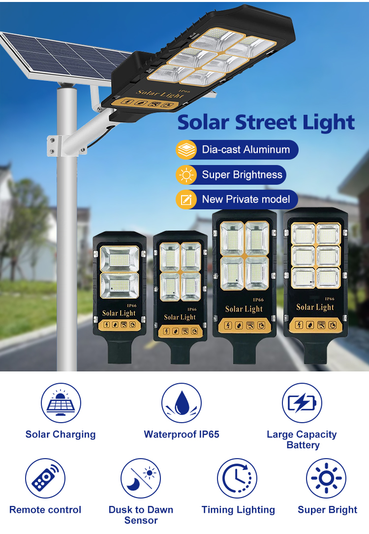 Intelligent Solar Street Light with Time Control and Remote Function