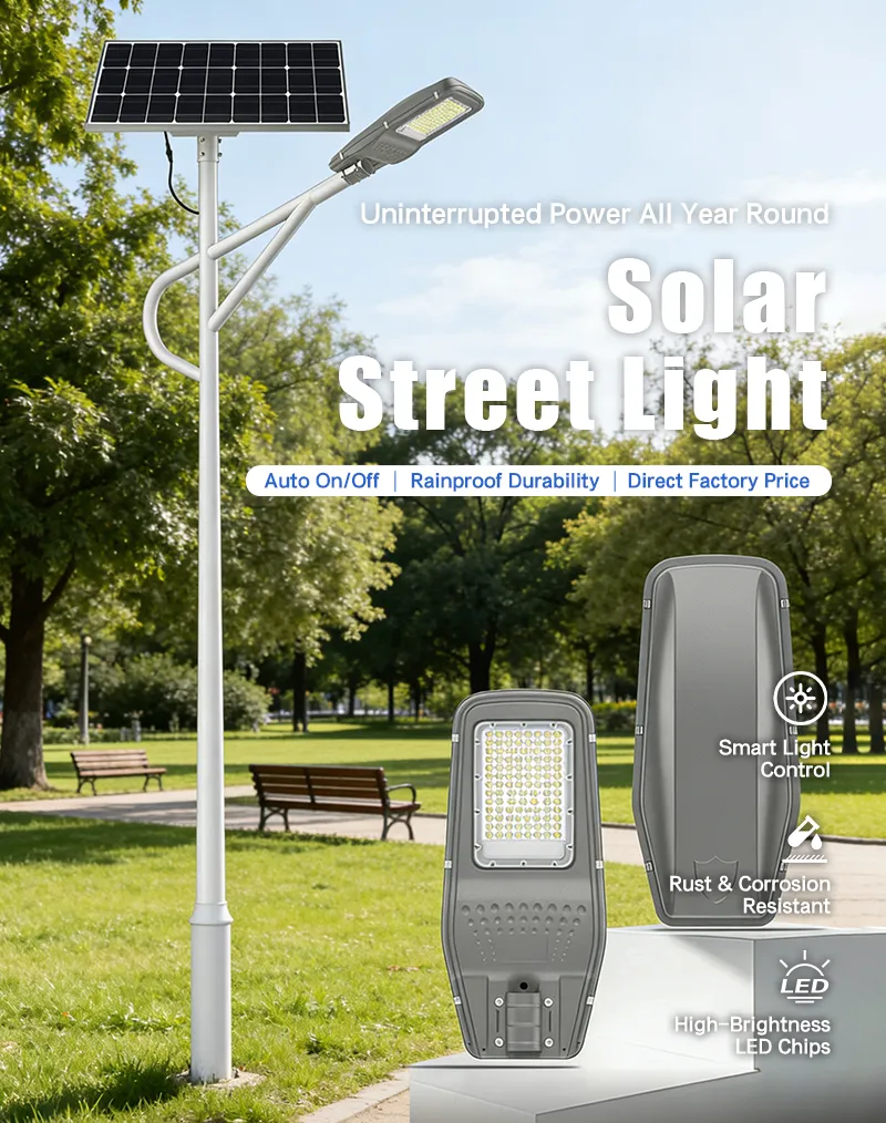 Solar Street Light Detail 1