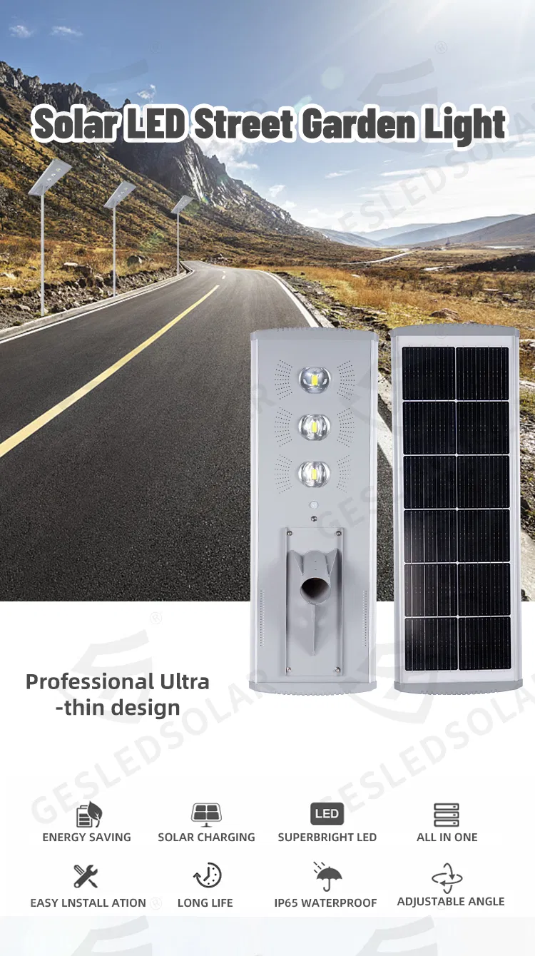 Solar LED Street Light 1