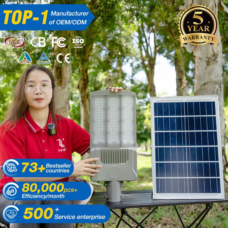 Outdoor Road Lighting Waterproof IP65 Street Lamp 100W 150W Die-Cast Aluminum Separate LED Solar Street Light