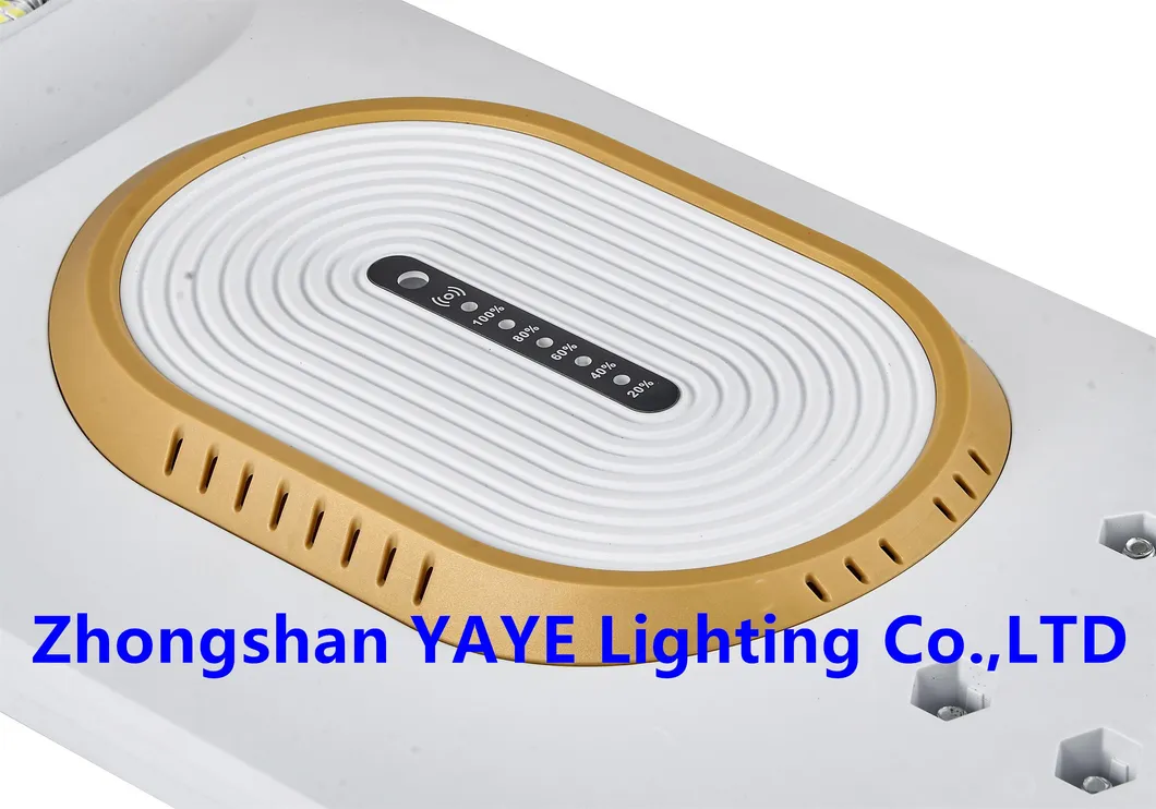 Solar Street Light 20