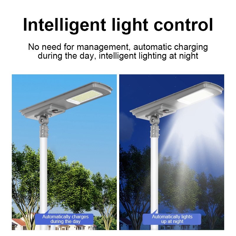 Solar LED Street Light OEM/ODM Remote+Light+Time Control Energy Saving Lamp