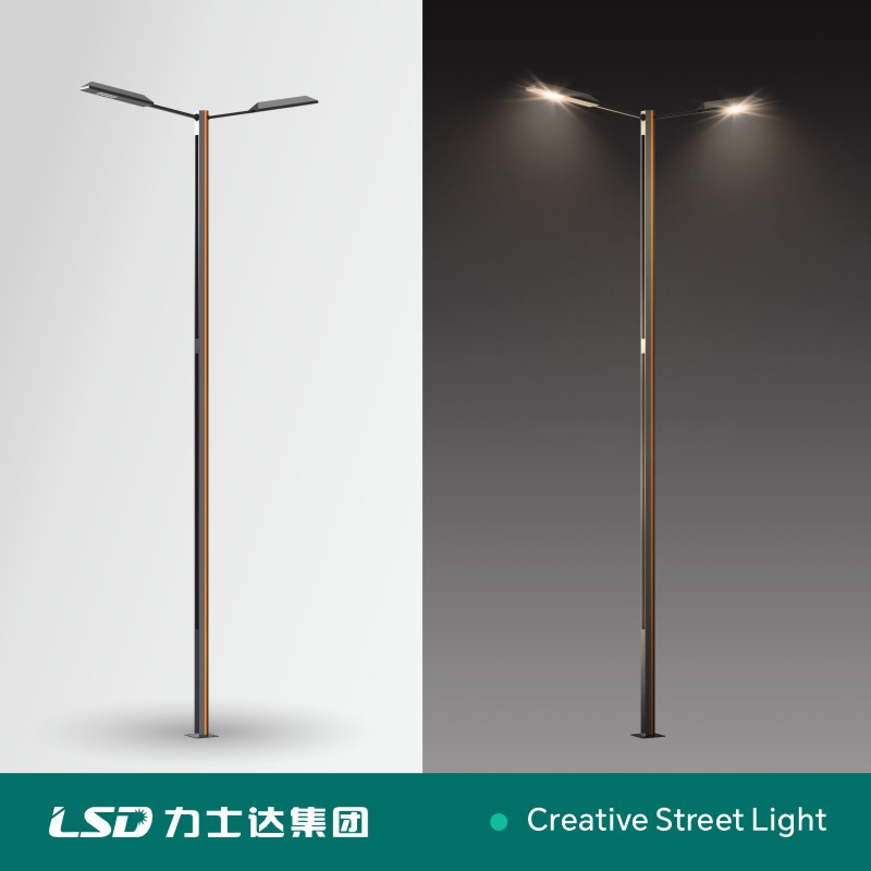 Direct Sale Two Arm Waterproof IP68 Die-Casting Aluminum Housing 250W LED Street Light Road Lamp Pole Customization