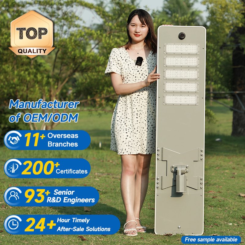 Alltop Aluminum Housing IP65 Waterproof 50W 100W 150W 200W 250W 300W Integrated All in One Solar LED Street Lights