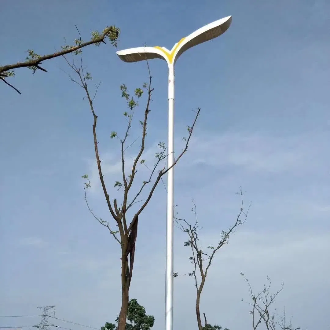 Solar Street Light for Government Road Lighting Project with Factory Price