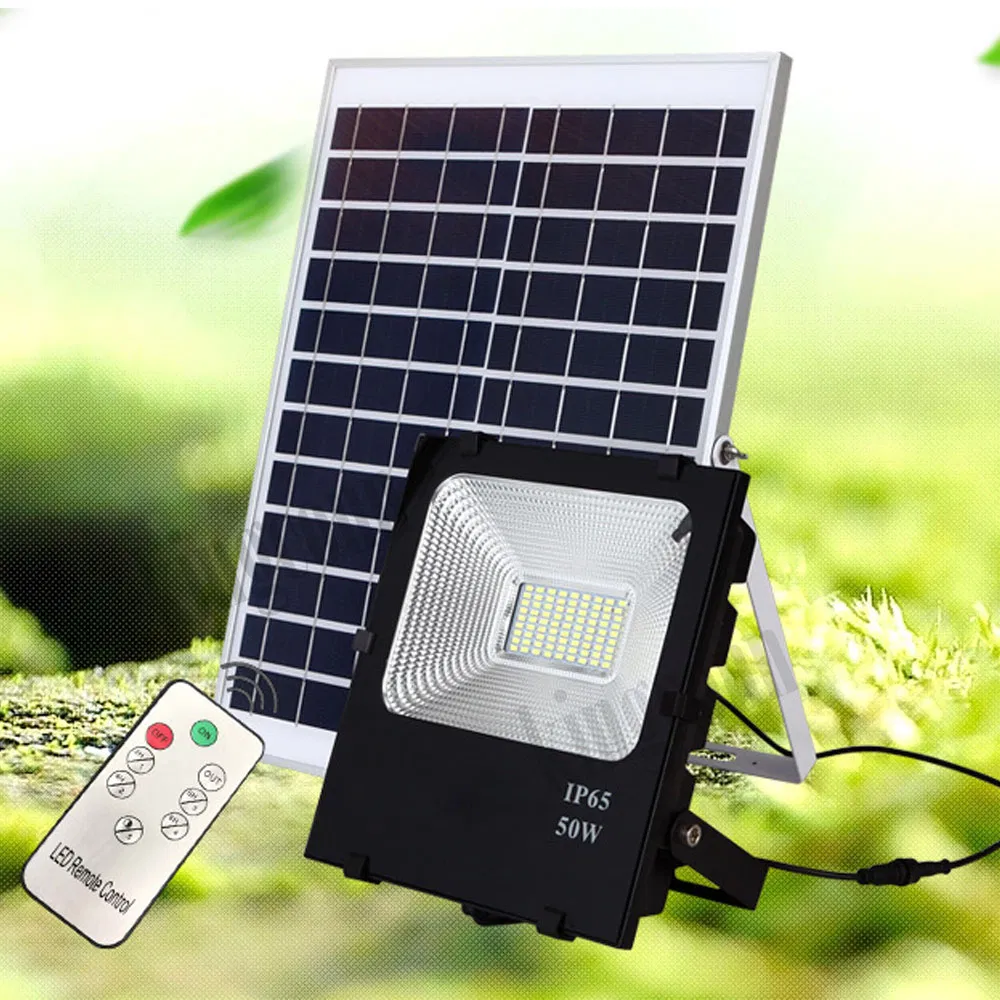 Solar Flood Light Detail