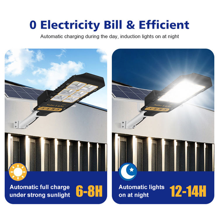 Intelligent Solar Street Light with Time Control and Remote Function