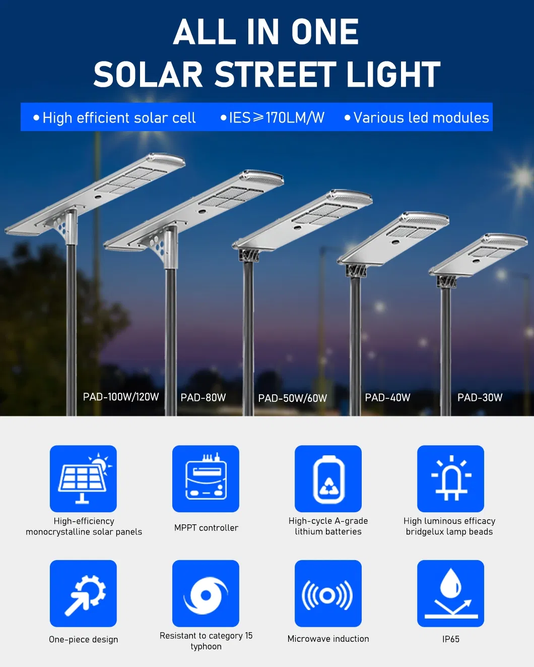 60W Solar LED Street Light Overview