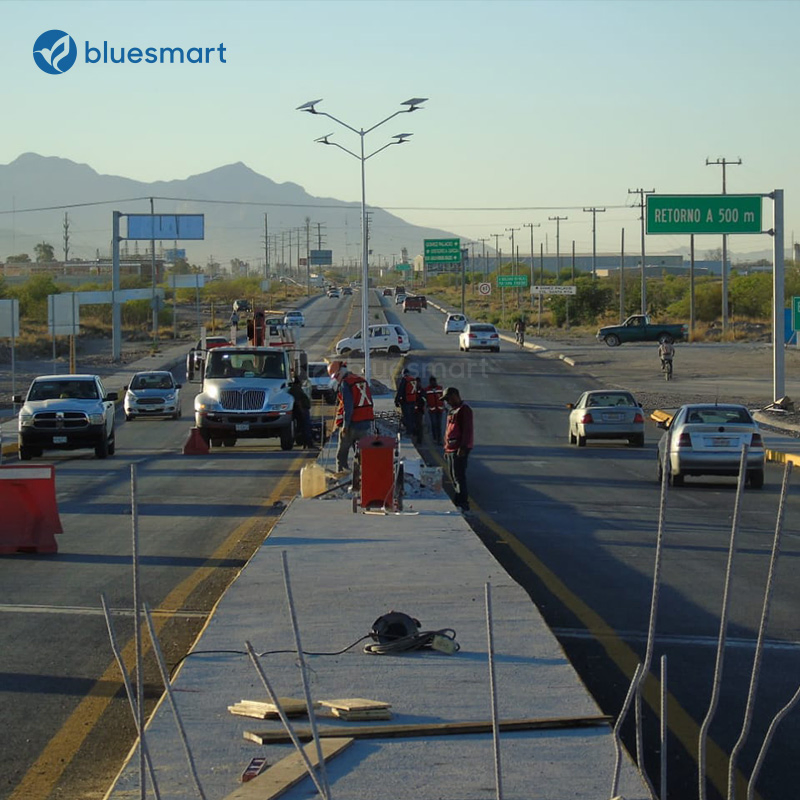 Bluesmart OEM/ODM Integrated Outdoor Solar LED Street Garden Light with Motion Sensor