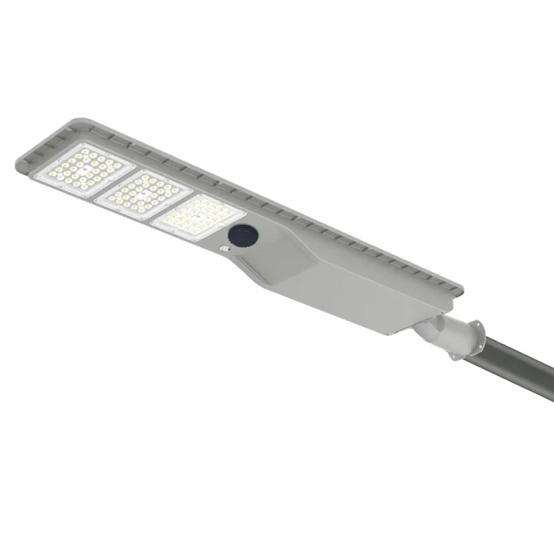 Integrated Solar Lamp Detail