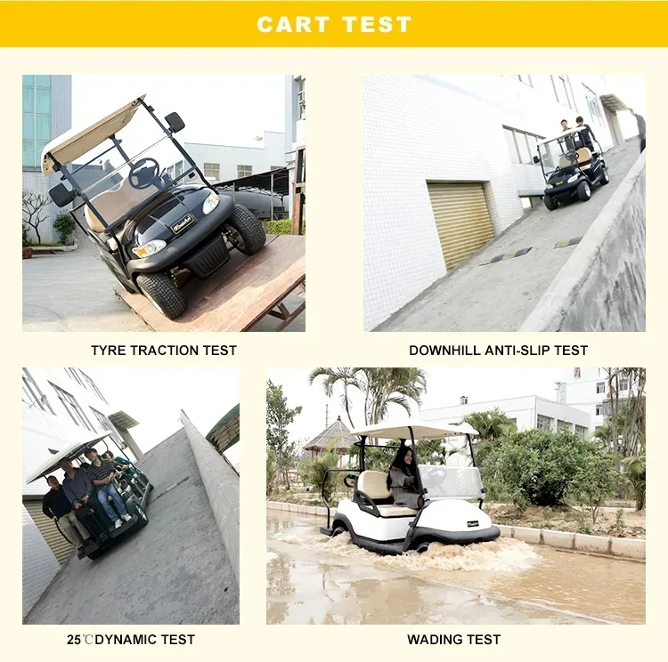 Lifted Electric Security Patrol Golf Buggy 6 Passenger