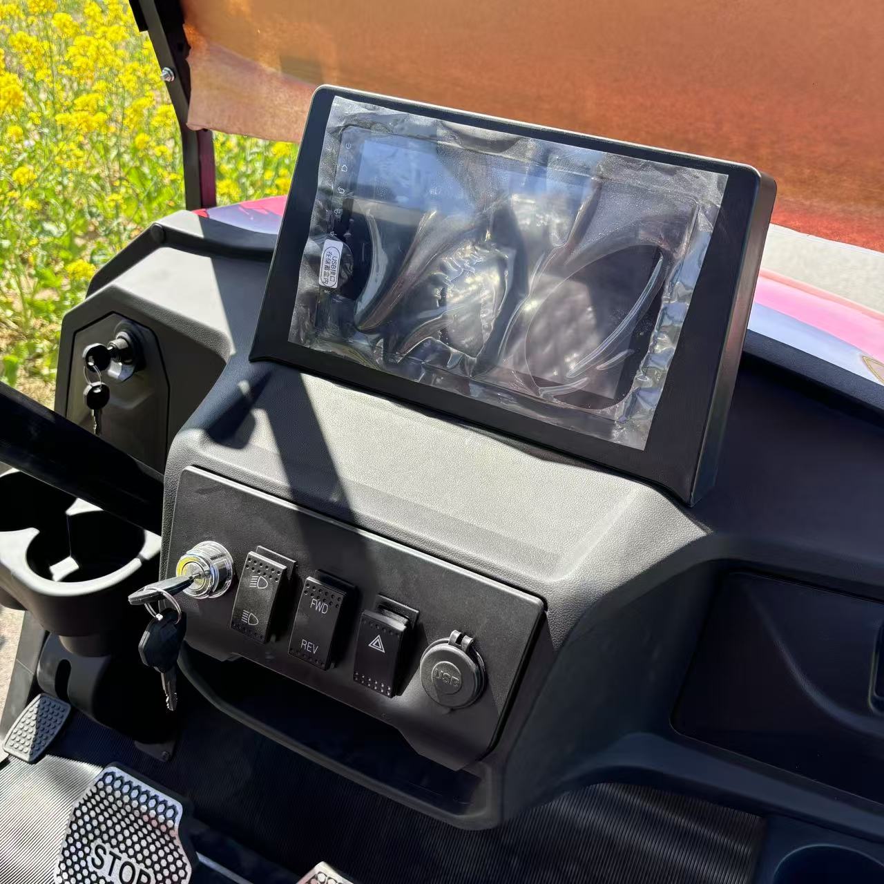 Custom Luxury Star Golf Cart 300km Driving Range Golf Cart