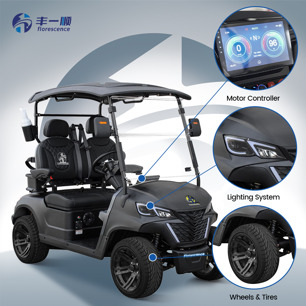 2-Seater Black Club Car Off-Road EV Golf Cart Utility Electric Buggy 48V 5KW Metal
