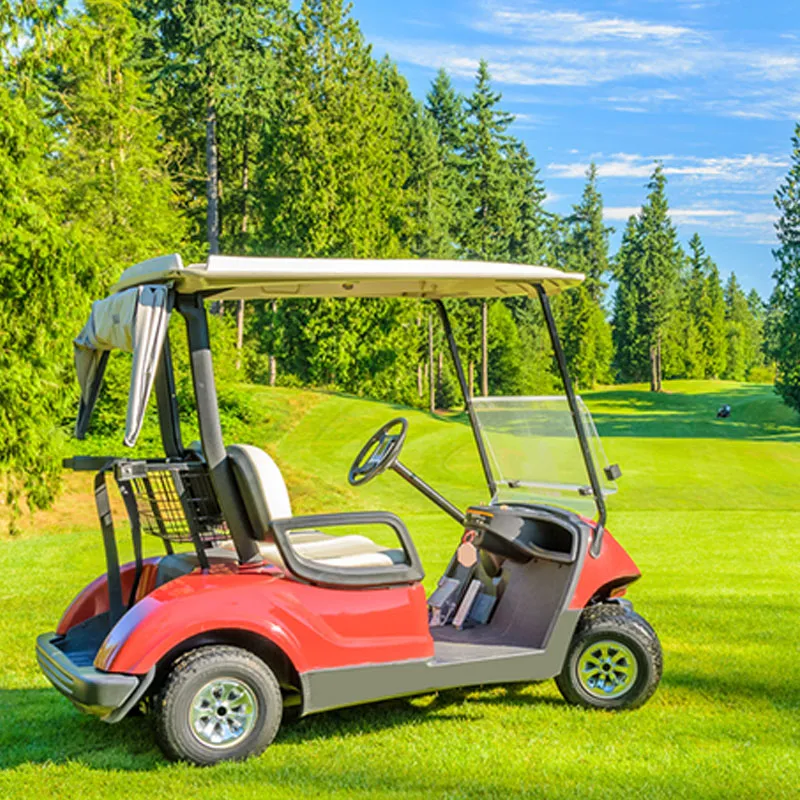 Golf Cart Detail 1