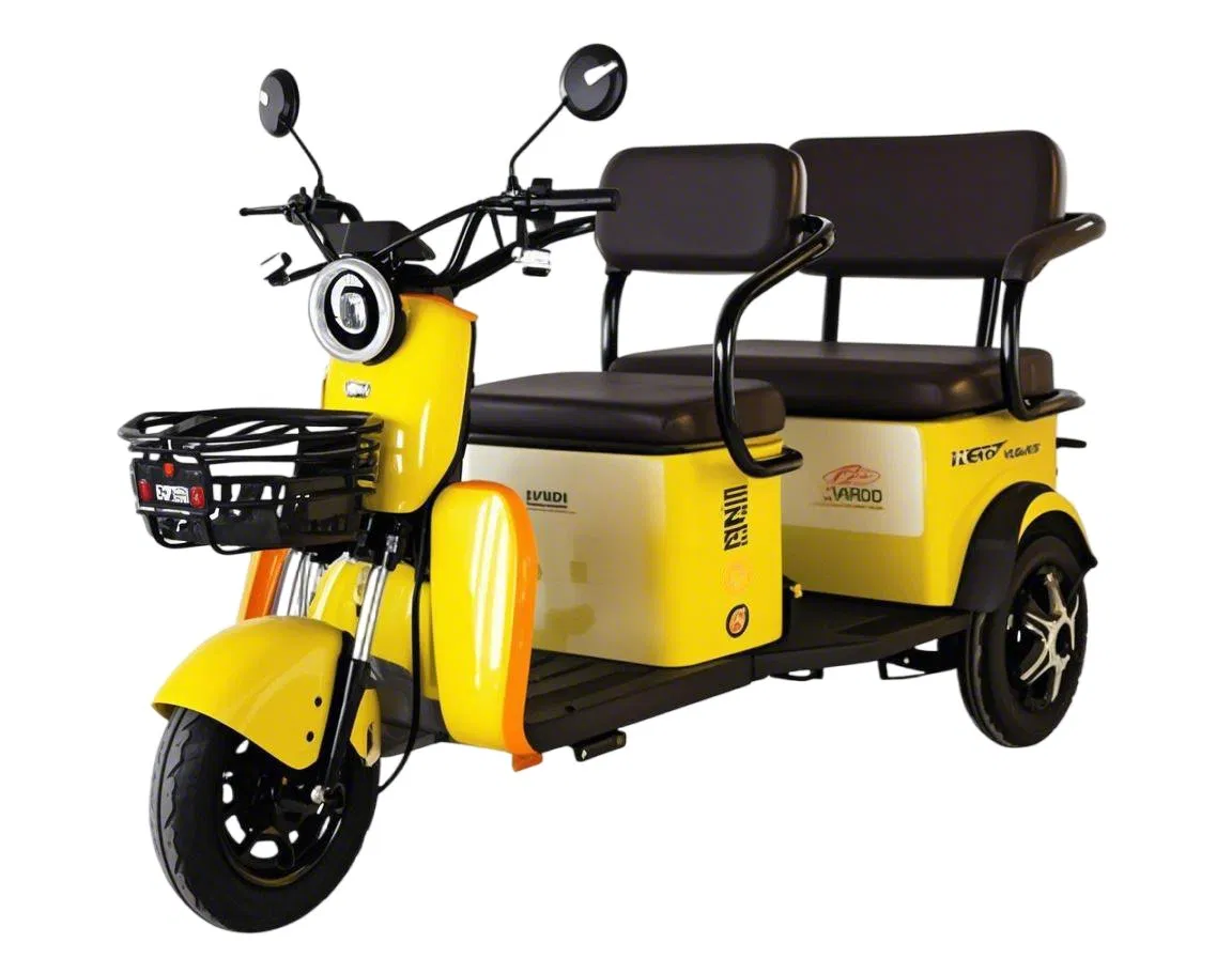 Built-in Audio System Quiet Operation Industrial Park Security Patrol Disability Assistance Mobility E Scooter Electric Golf Cart