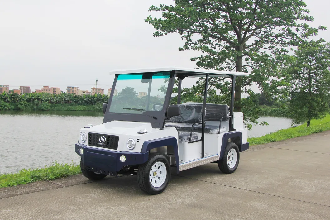 Electric Golf Cart
