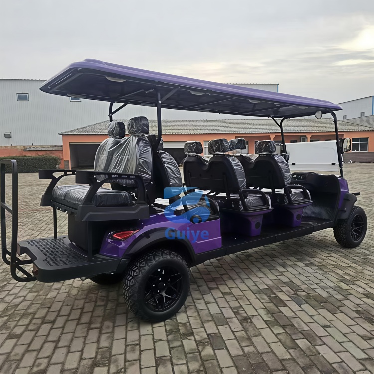 Manufacturers Customisable User Friendly Versatile Golf Cart Quiet Electric Operation Electric Golf Cart for Airports and Resort