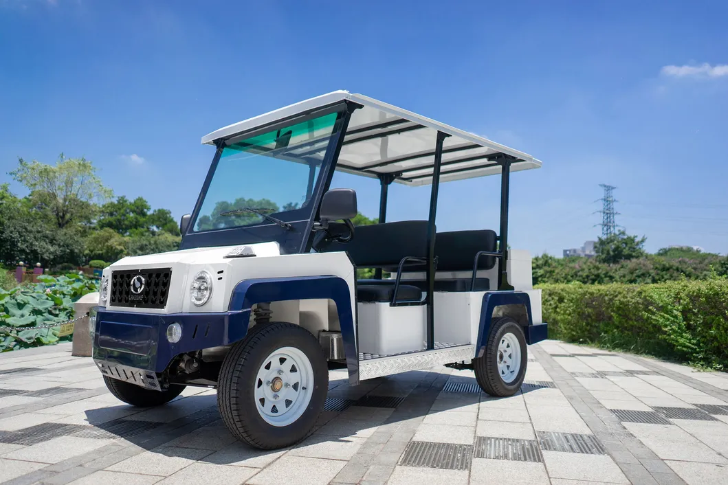 Electric Golf Cart