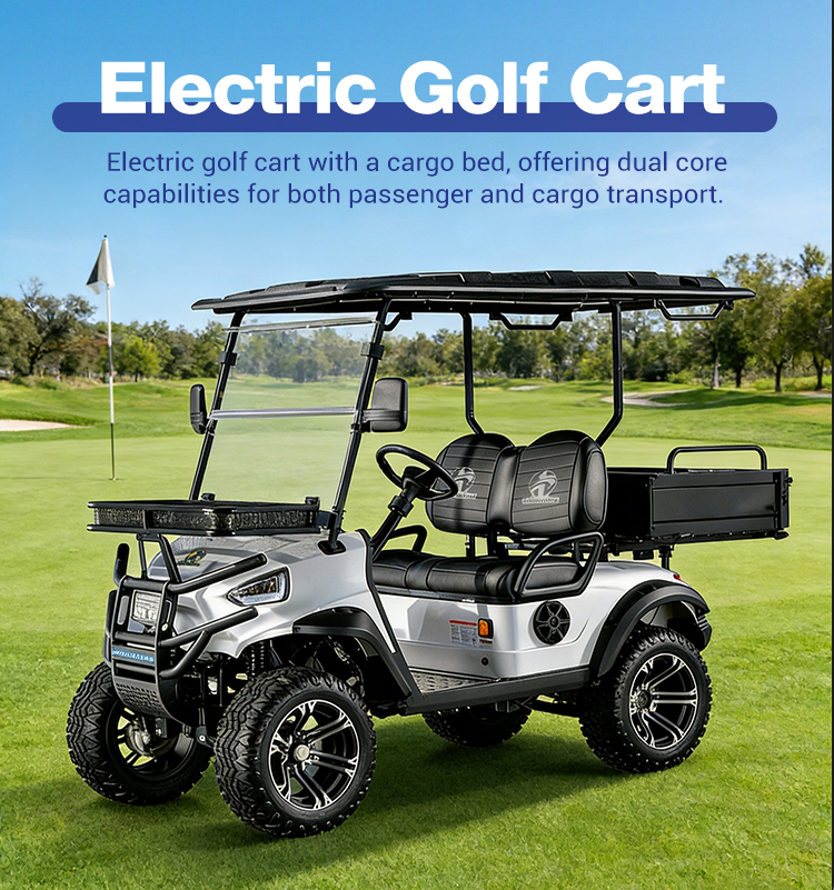 Electric vehicle main view