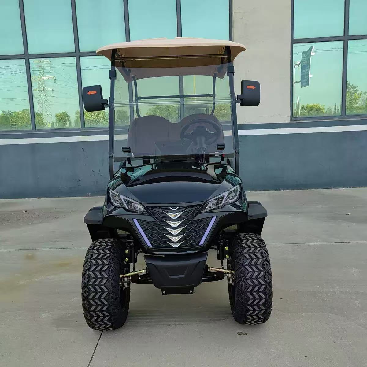 TongCai New Design Affordable Electric 1-2 Seats 30KM/h Scenic Area Hotel Campus Villa Factory Golf Carts Buggy Car
