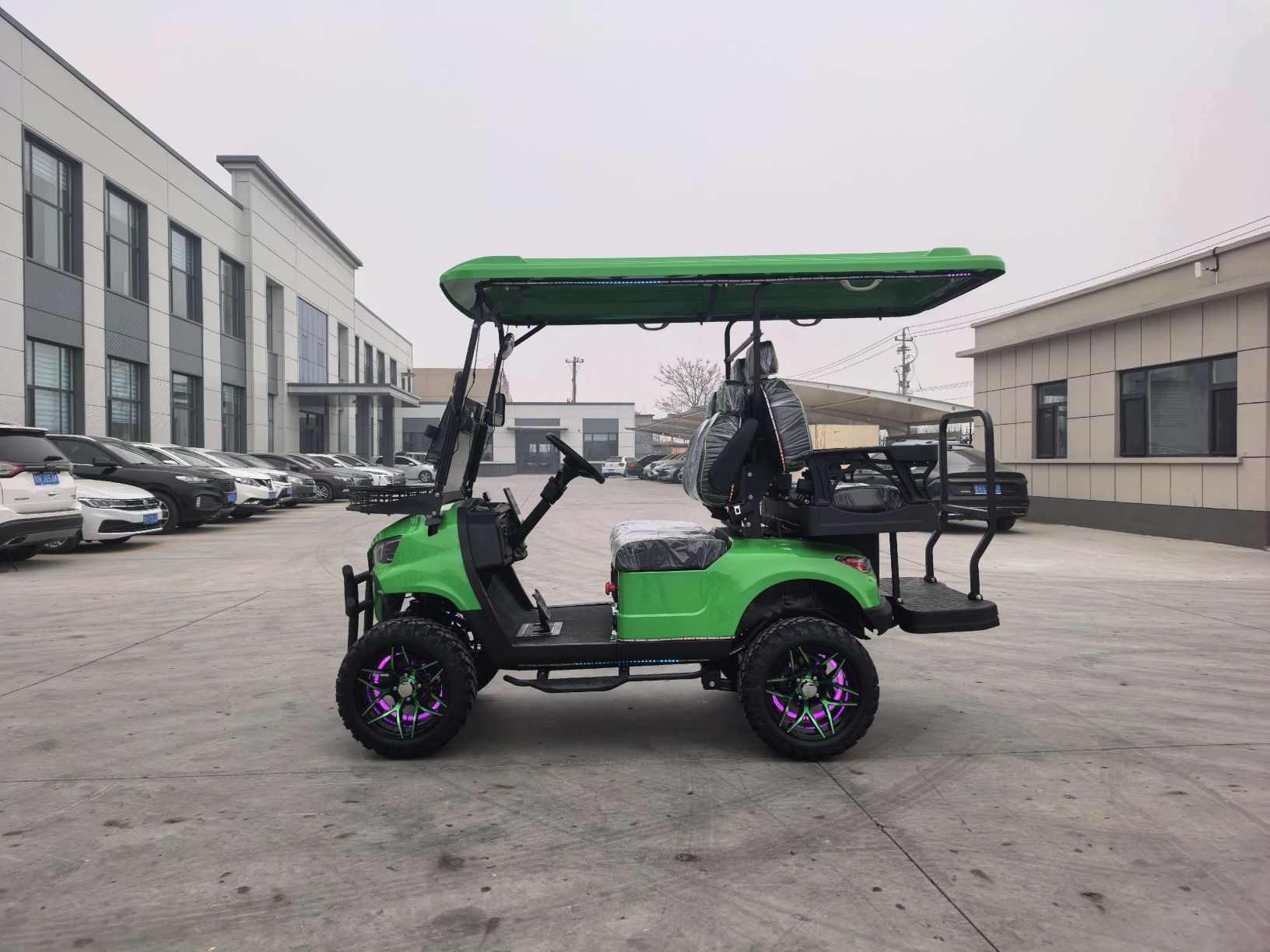 High Quality Customizable Colors Luxury 4 Passenger Club Car Green Golf Car for Hotel Reception Supports OEM/ODM