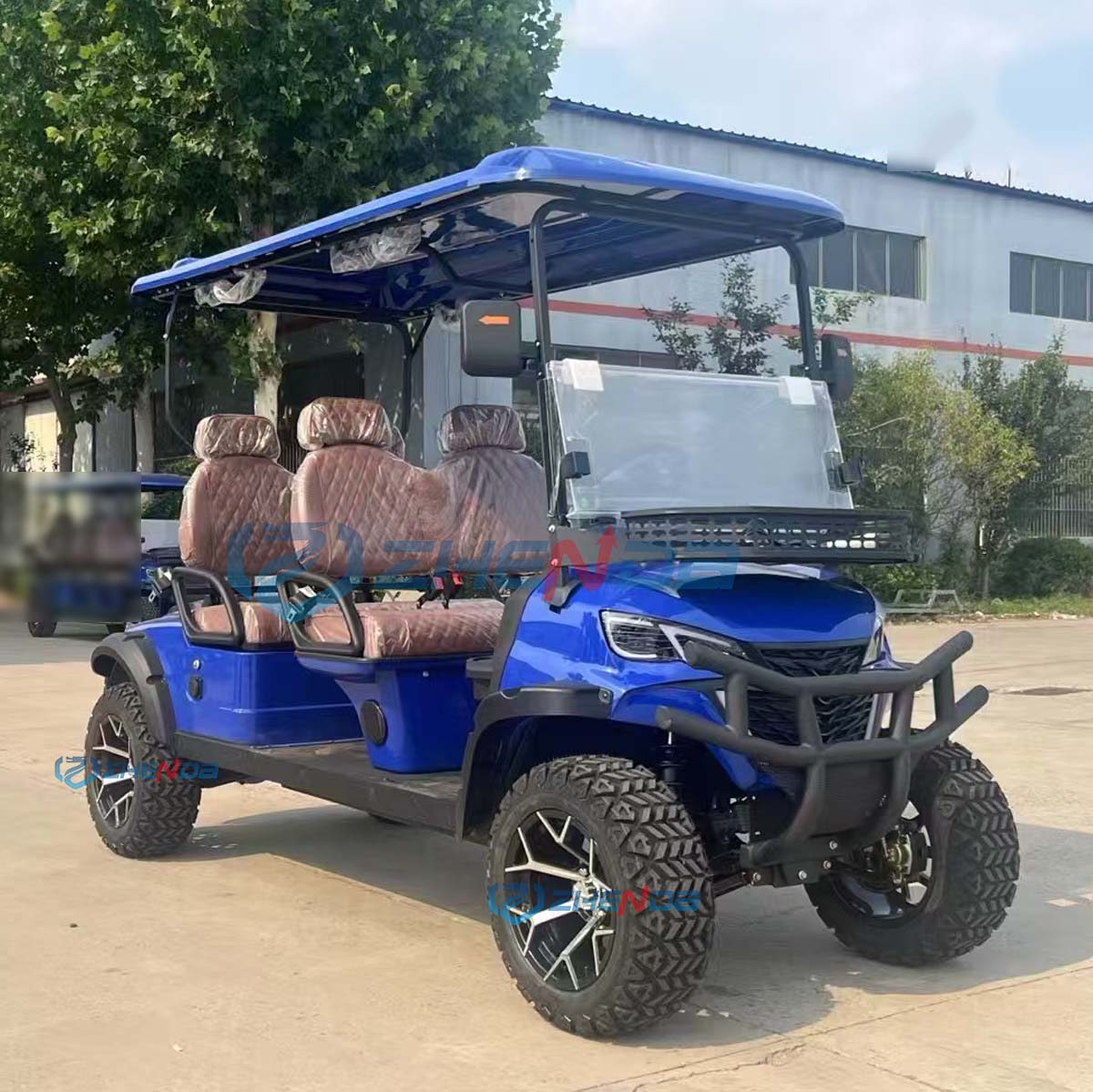 Golf Buggy Details