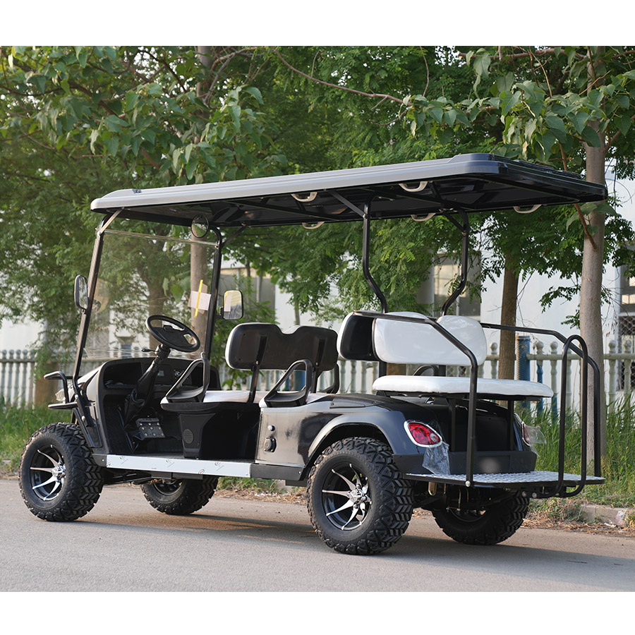 Wholesale 2 Seater Mini Electric Golf Buggy Car Golf Cart for Hotels and Airports