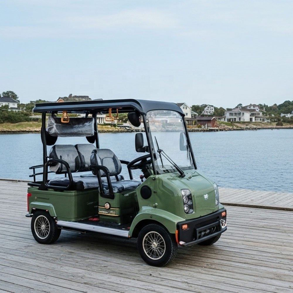 HLD 2000W 60V Sightseeing Ebike Electric Bike 4 Wheeler Long Range Electric Mobility Scooter Golf Cart With Roof