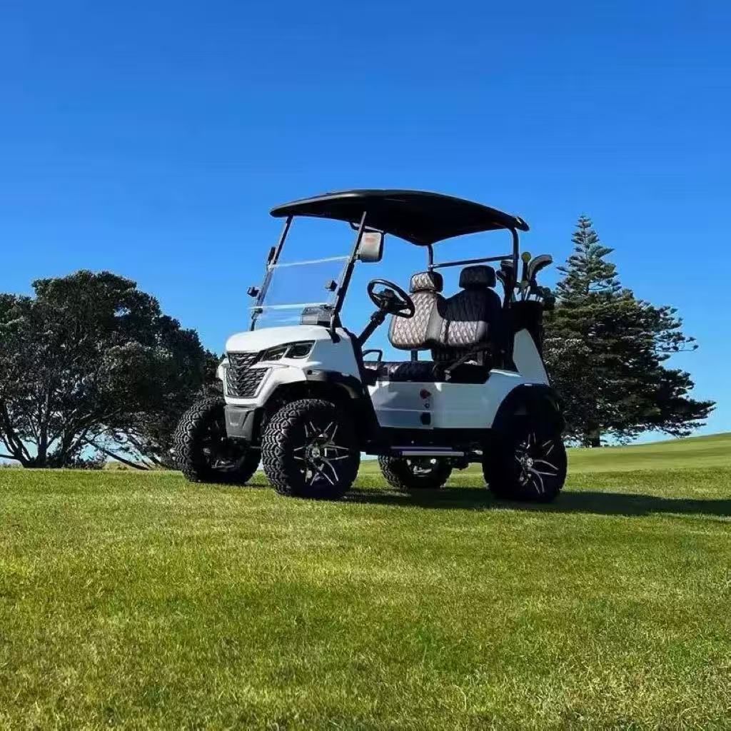 TongCai New Design Affordable Electric 1-2 Seats 30KM/h Scenic Area Hotel Campus Villa Factory Golf Carts Buggy Car