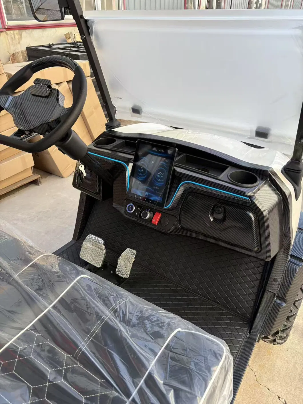 Electric Golf Cart