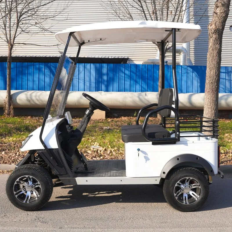 Electric Golf Cart detailed photo 7