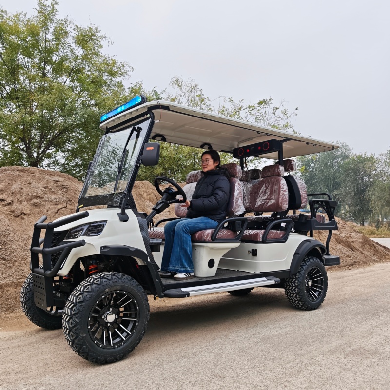 Electric Classic Buggy Utility Electric Club Car with Cargo Box for Golf Courses 6 Seater Street Legal Golf Cart