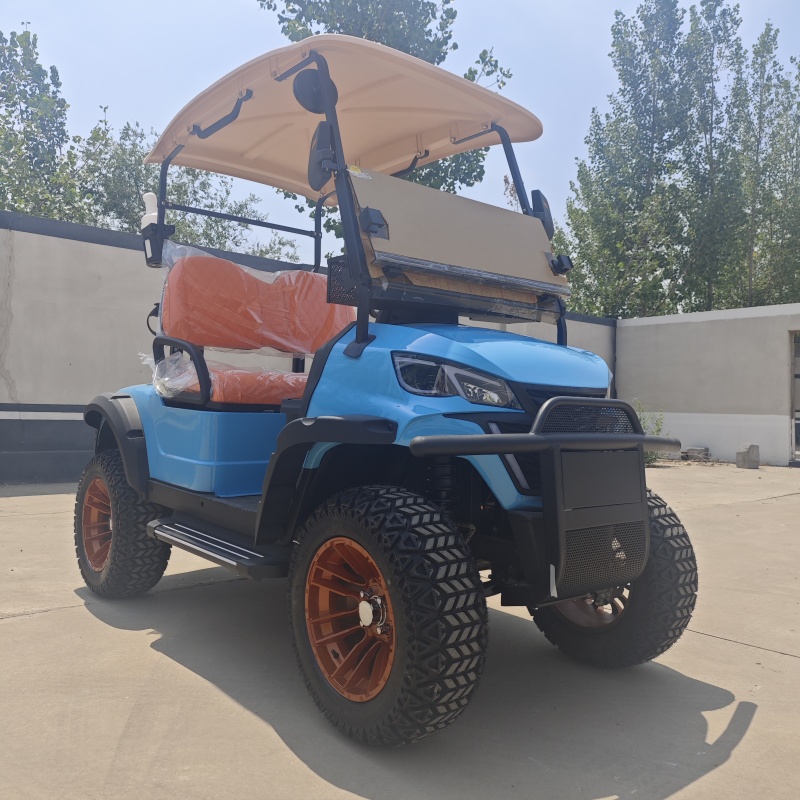 Custom 2-Seater Luxury Off-Road Electric Golf Cart with 48V Battery and Cheap Parts Including Off-Road Tire
