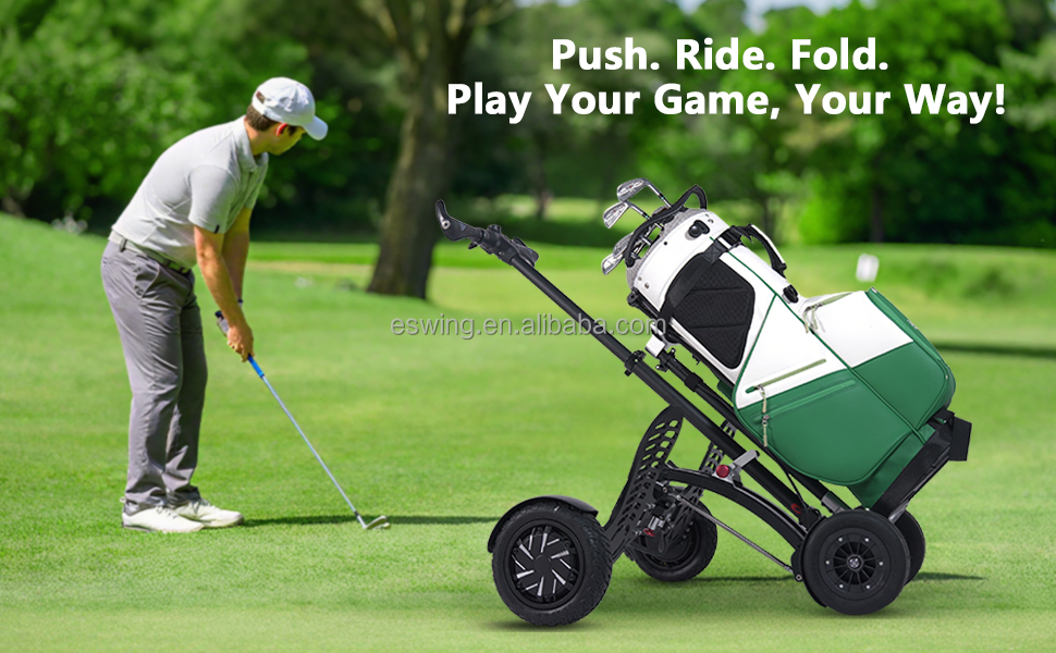 1600W Electric Golf Cart
