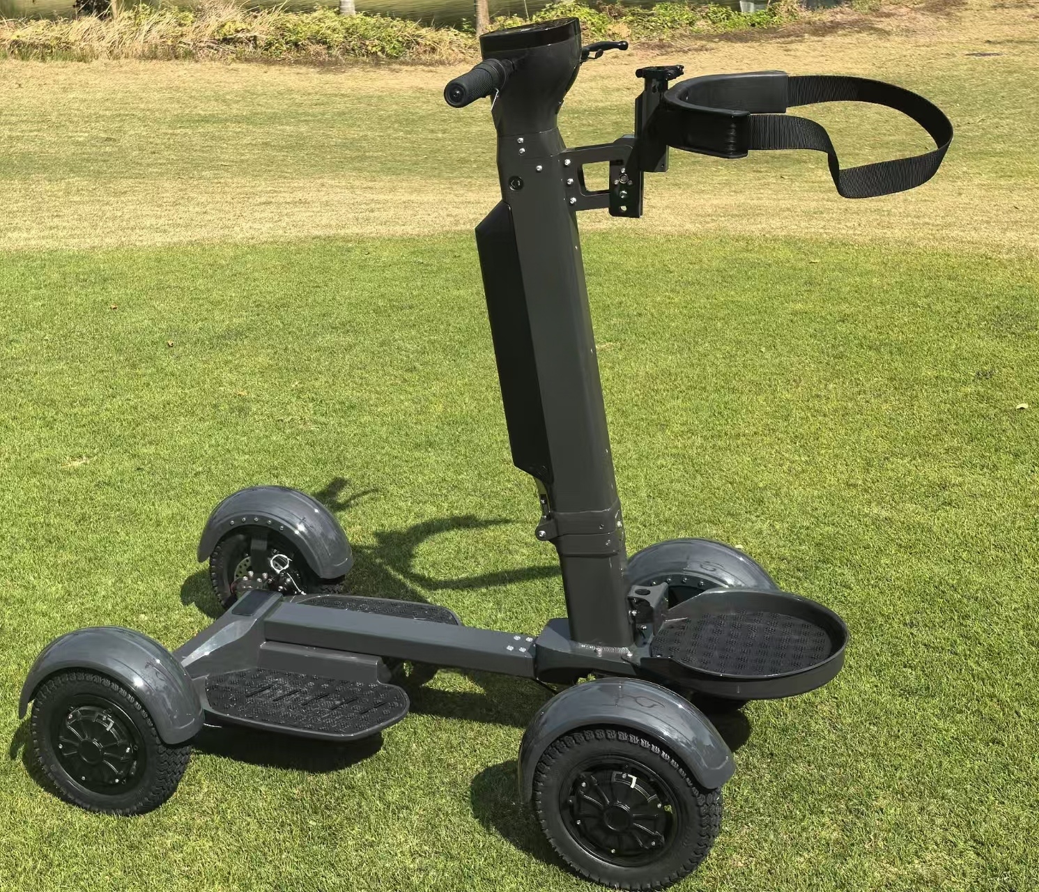 Loyal Electric Four-Wheel Golf Cart Buggy with Solar Power Intelligent GPS Foldable Design Waterproof Features