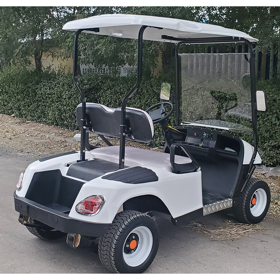 Electric Golf Car Detail 2