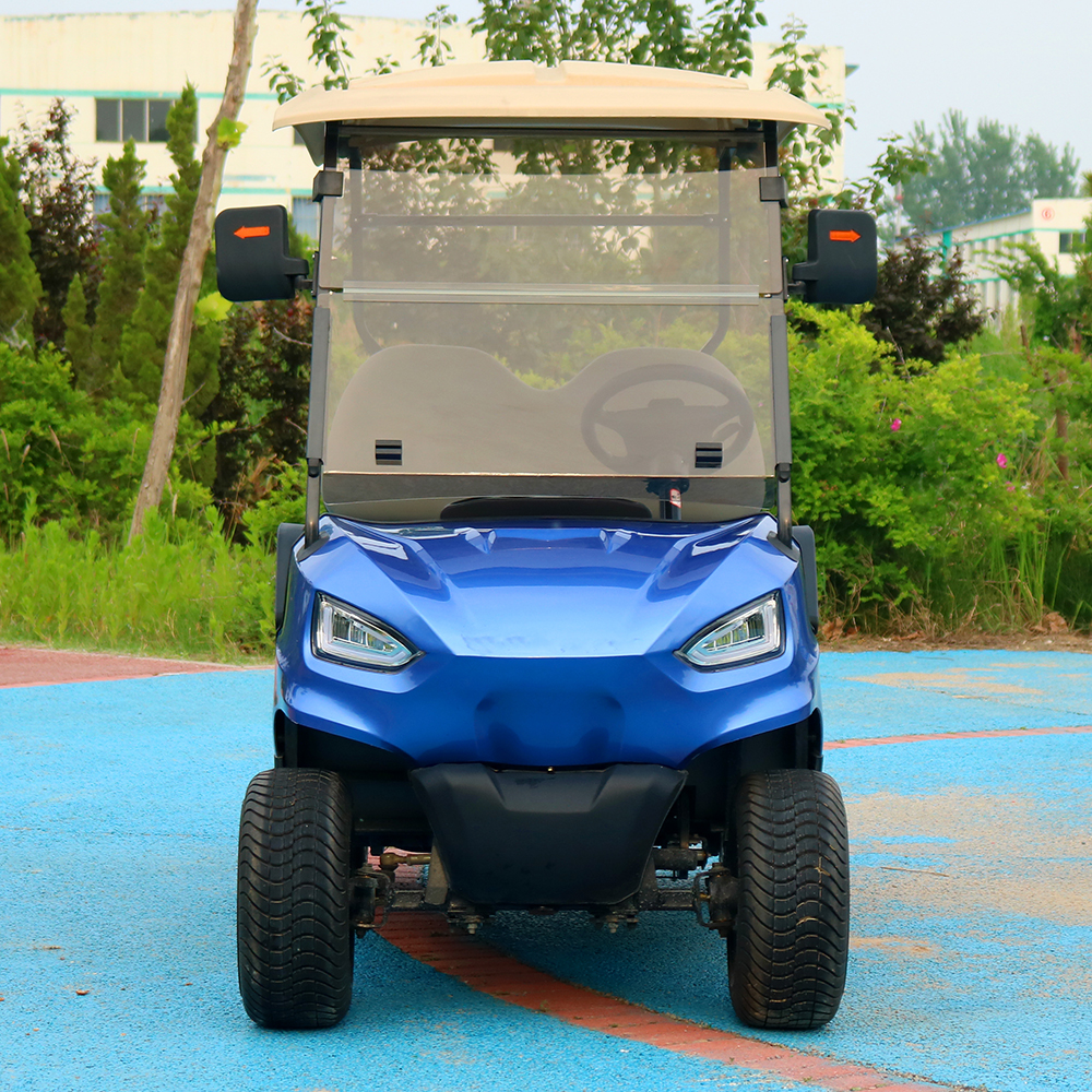 HUANLI Electric Car Buggy 2-Passenger Utility Mini Golf Cart with CE Certification Steel Frame &amp; Airport Use