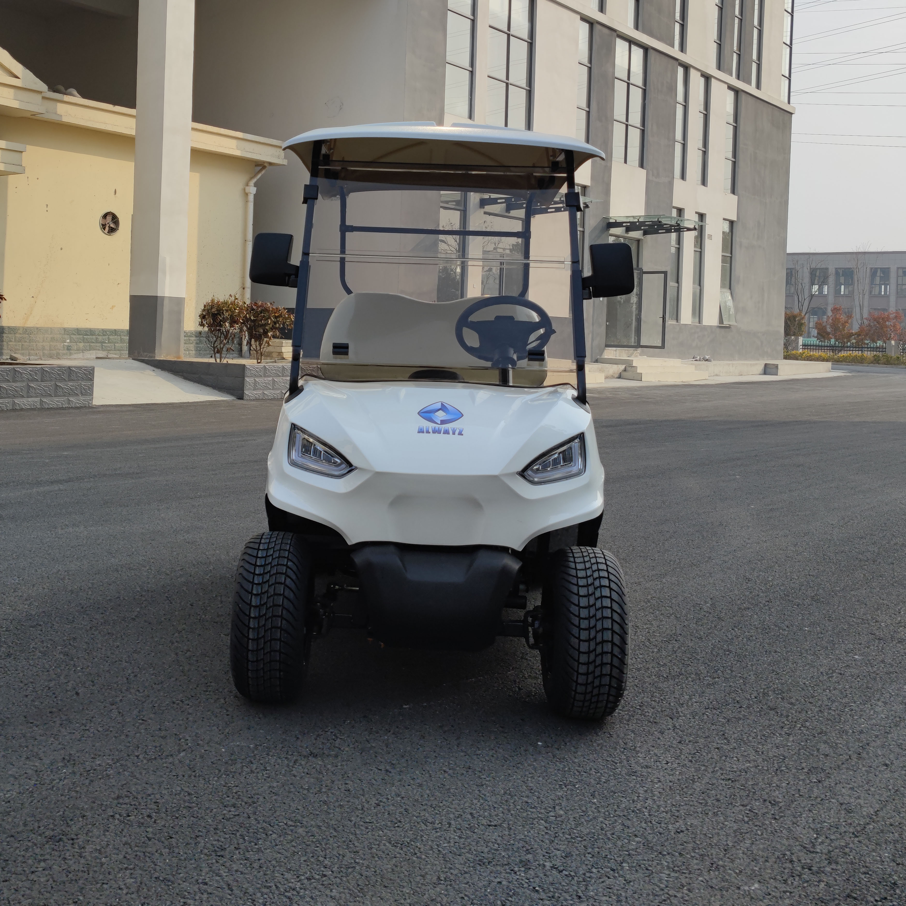 Custom Golf Cart for Promotion