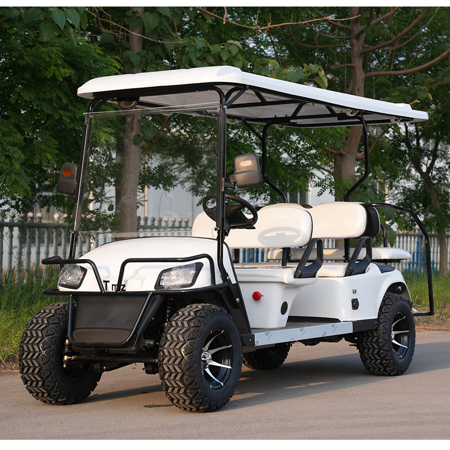Electric Golf Car Feature 2