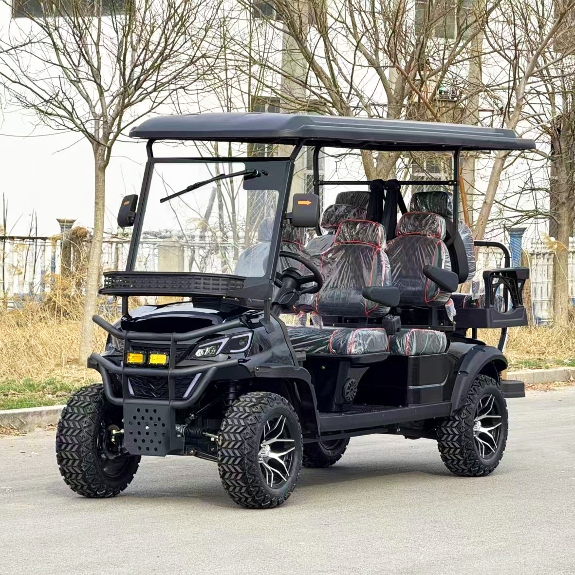 Golf Cart Details 5