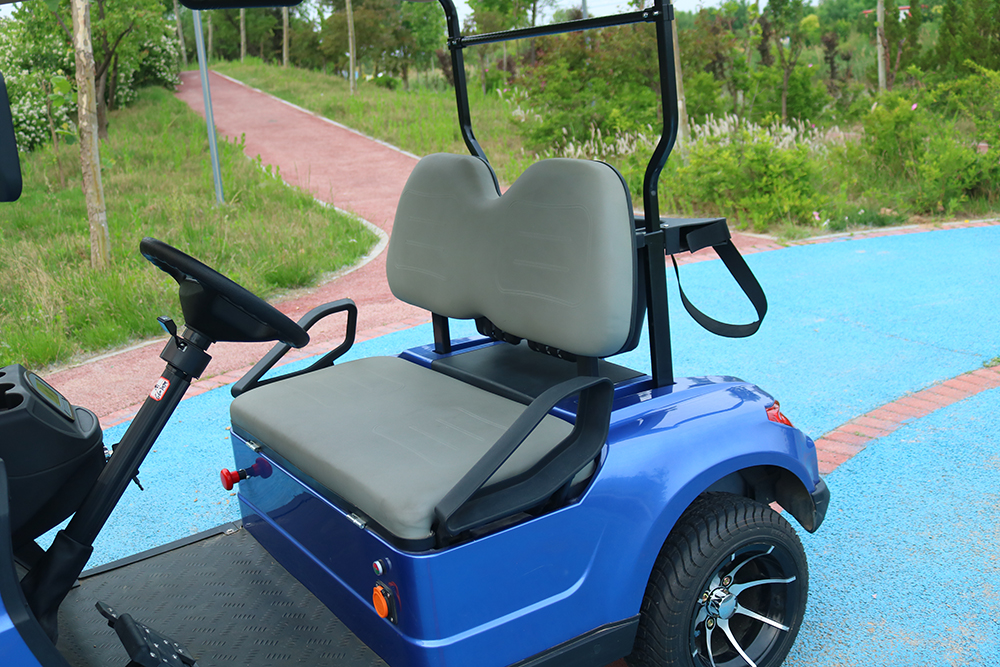 HUANLI Electric Car Buggy 2-Passenger Utility Mini Golf Cart with CE Certification Steel Frame &amp; Airport Use