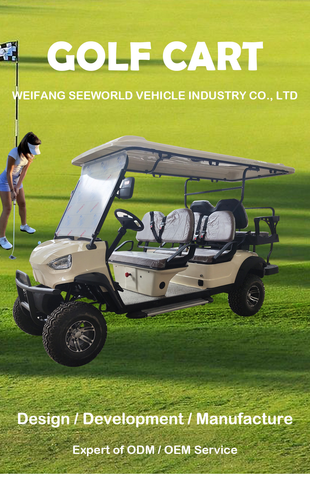 Electric Golf Cart Front View