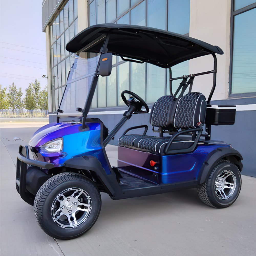 Chinese Electric Golf Carts Cheap Prices Vintage Buggy Car for Sale Club Street Legal Pakistan 5 with Solar Panel Golf Cart