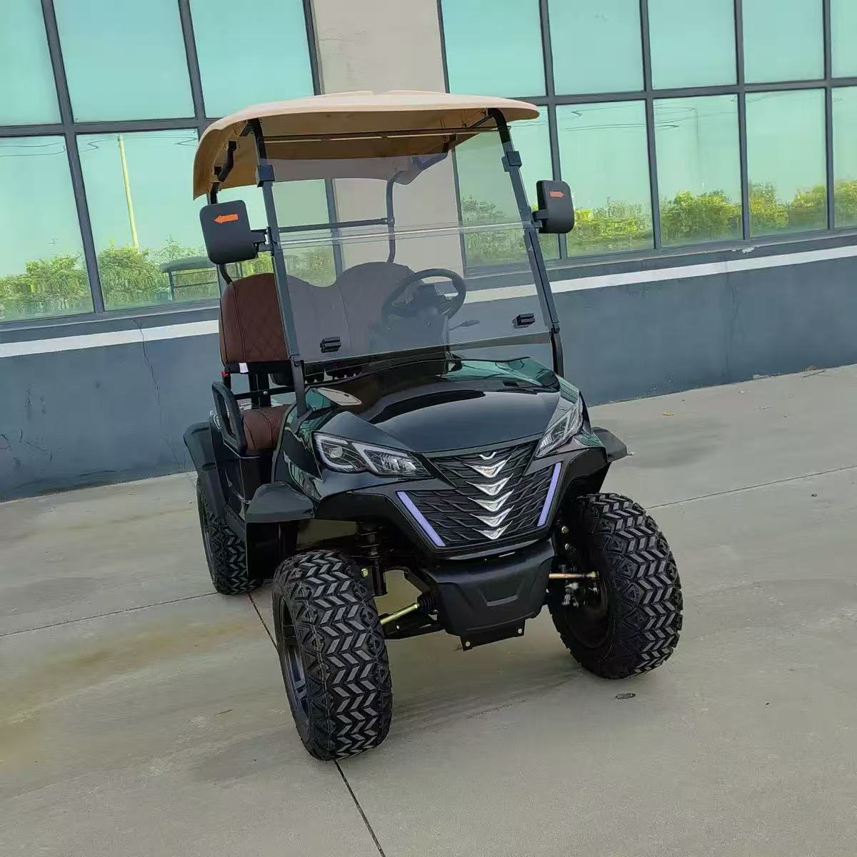 TongCai New Design Affordable Electric 1-2 Seats 30KM/h Scenic Area Hotel Campus Villa Factory Golf Carts Buggy Car
